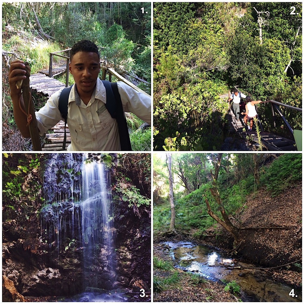 Grootbos Waterfall