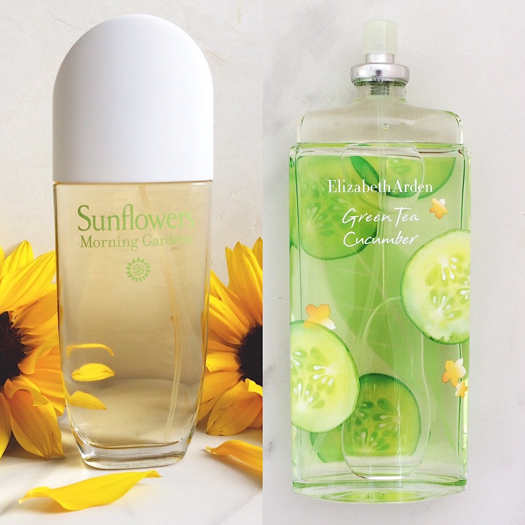 Green tea:Sunflowers holding